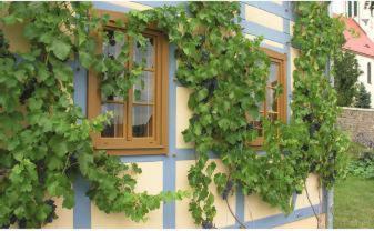 In Der Alten Weinstube Freital Extérieur photo