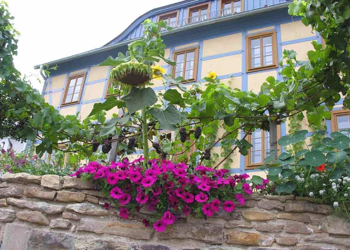 In Der Alten Weinstube Freital Extérieur photo