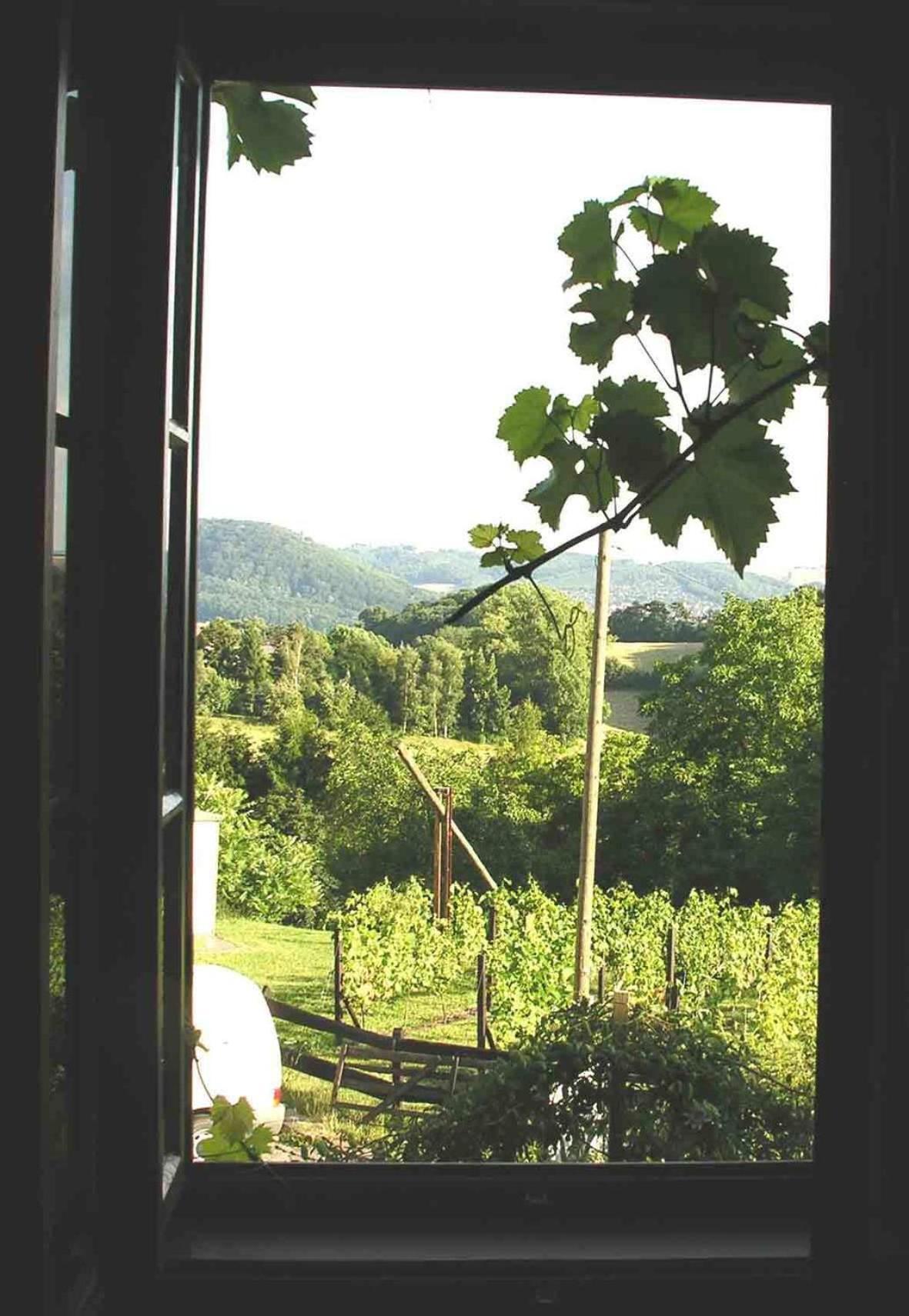 In Der Alten Weinstube Freital Extérieur photo